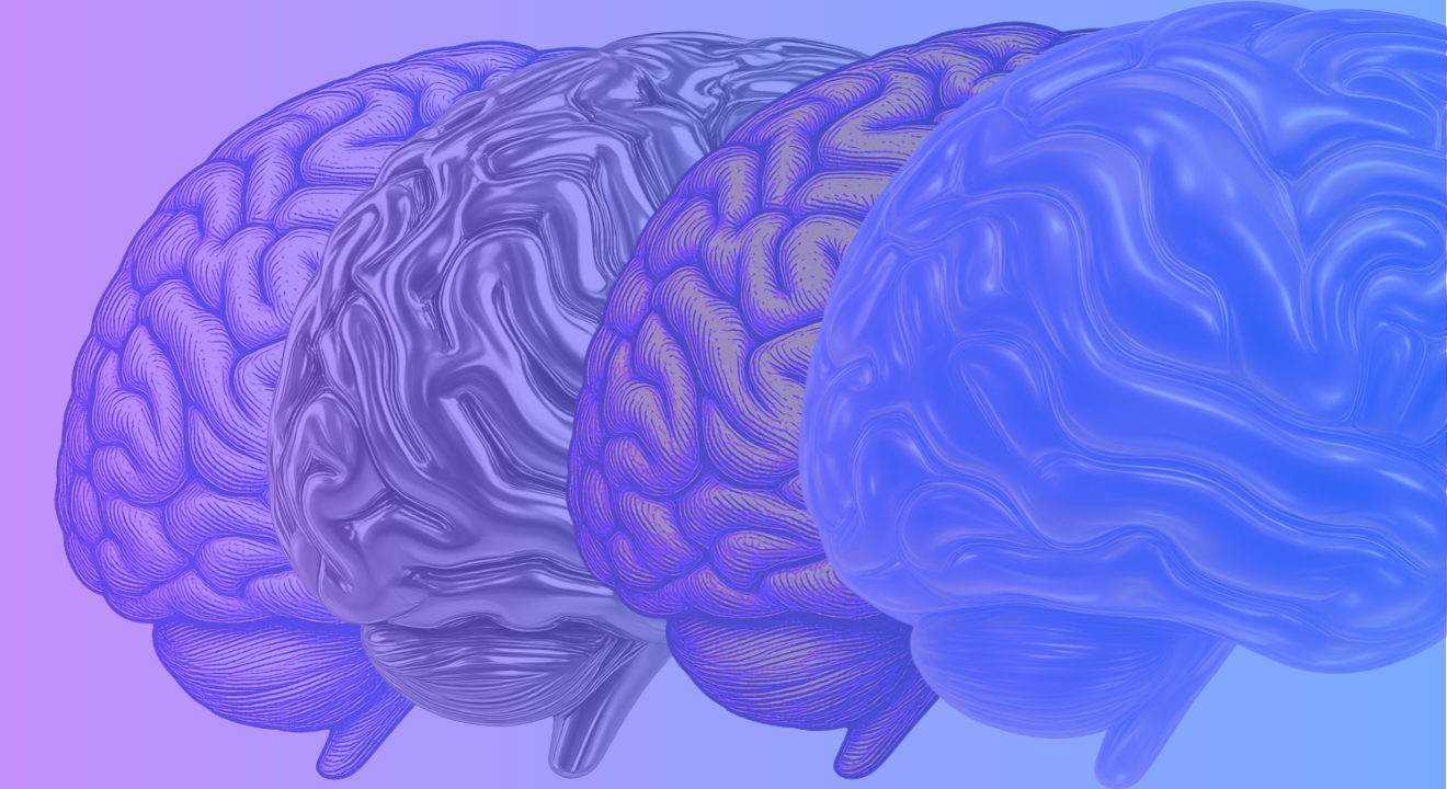 P10. DIPLOMADO AVANZADO EN NEUROCIENCIA Y NEUROPLASTICIDAD CEREBRAL