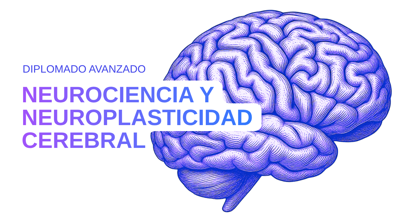 P10. DIPLOMADO AVANZADO EN NEUROCIENCIA Y NEUROPLASTICIDAD CEREBRAL