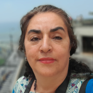 Profile photo of Virginia Vianey Botello Rendón