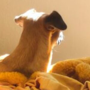 Profile photo of Lorena Guadalupe Maldonado Nez